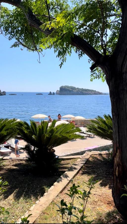 Apartments Apartmani Bojana يوتجيها المظهر الخارجي الصورة